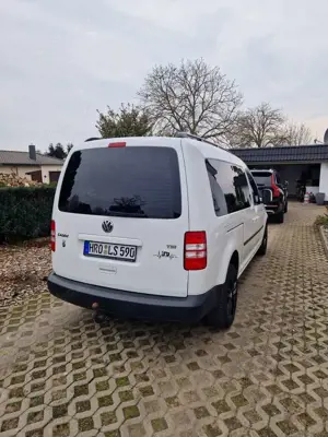 Volkswagen Caddy Maxi Trendline Bild 5