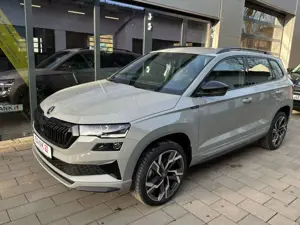 Skoda Karoq Bild 3