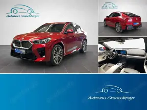 BMW iX2 30 xDrive M Sport AHK RFK 2Z SHZ LED KZU