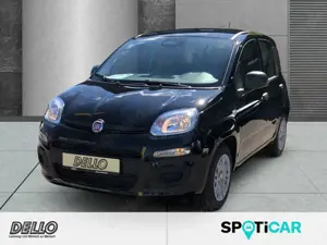 Fiat New Panda ICON Hybrid Klima DAB Bluetooth 5-Zoll-Bildschrim