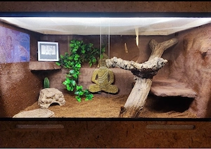 Terrarium 50x50x80cm Bild 2