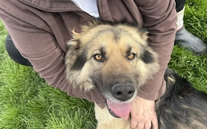 Wundervoller Caramello