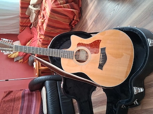 Taylor 365ce zu verkaufen  Bild 2