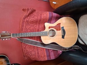 Taylor 365ce zu verkaufen  Bild 10