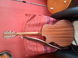 Taylor 365ce zu verkaufen  Bild 3