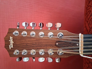 Taylor 365ce zu verkaufen  Bild 7