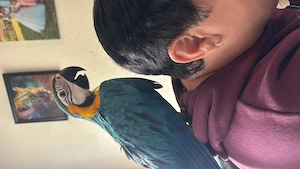 Dringend neues Zuhause gesucht 