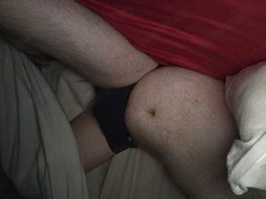 Kuschelbär sucht sie