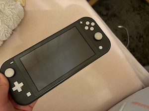 switch lite