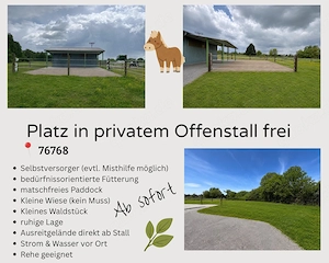 Platz im Offenstall frei