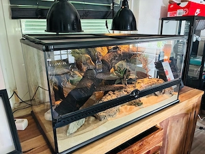 Neu, Exo Terra, Terrarium 90x45x45, ink Zubehör und Deko