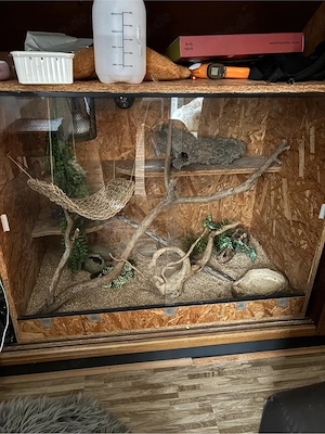 Terrarium mit Teilausstattung