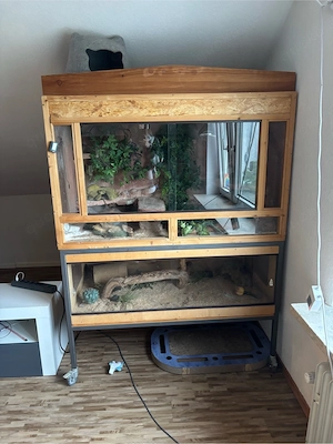 Terrarium groß 