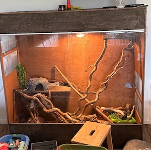 Terrarium groß 