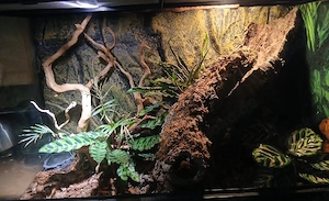 Exoterra 90x45x60