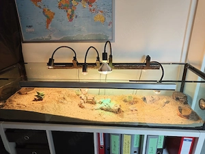 Terrarium mit Zubehör