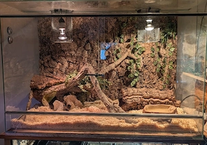Terrarium, Glas, 120cm