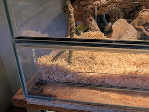 Terrarium, Glas, 120cm Bild 2