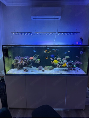 Red Sea Reefer 850 G2+ Komplettsystem mit Besatz, ATI Straton & Technik