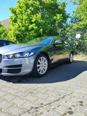 Jaguar XE 20d Aut. Pure