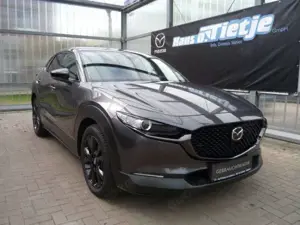 Mazda CX-30 2.5L e-SKYACTIV G 140ps 6AT FWD Nagisa