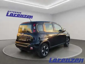 Fiat Panda 1.0 Cross City Plus Hybrid Klima+eFH+ZV+ESP+ABS+Se Bild 5