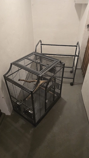 Vogelkäfig 