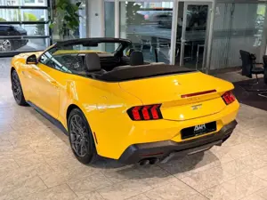 Ford Mustang Cabrio GT 5.0l *MAGNE-RIDE*D-FZG*ACC*BO Bild 5