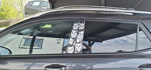 Individuelle Plotter Sticker & Bügelbilder   personalisiert nach Wunsch