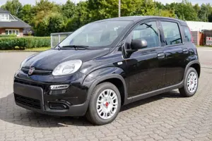 Fiat Panda 1.0 Firefly Hybrid mit CITY PAKET !!! Bild 3