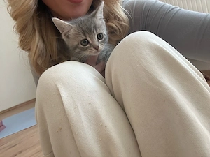 Babykitten