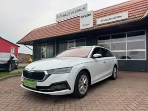 Skoda Octavia Combi Style Dynamic Light-AHK-Canton-ACC