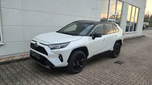Toyota RAV 4 Hybrid Style 4x Leder*el.Heckklappe