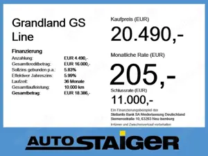 Opel Grandland GS Line Alcantara+LED+SHZ+LM Bild 4