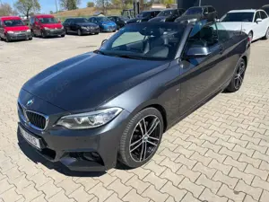BMW 220 d M Sport EURO6 Leder,Navi,Bi-Xenon