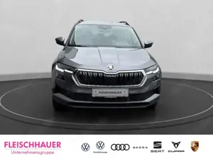 Skoda Karoq Bild 2