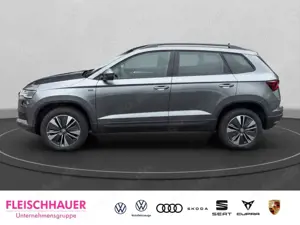 Skoda Karoq Bild 3