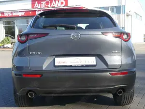 Mazda CX-30 2.0 M-Hybrid Basis 2WD LED Navi ACC PDC Bild 4