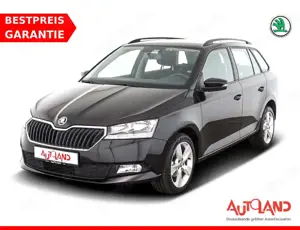 Skoda Fabia Combi 1.0 TSI Tempomat Sitzheizung PDC USB