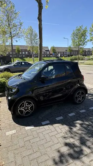 smart forTwo cabrio twinamic prime Bild 4