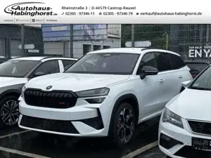 Skoda Kodiaq II 2.0 TSI DSG 4x4 RS 360° Ahk Canton Kessy ACC DC
