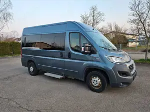 Fiat Ducato Luxusbus Panorama Modular 33 L2H2 9-Sitze