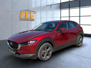 Mazda CX-30 1.Hand*AHK*LED*BOSE*ACC*RFK