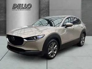 Mazda CX-30 EXCLUSIVE-LINE Bose HUD LED ACC El. Heckklappe