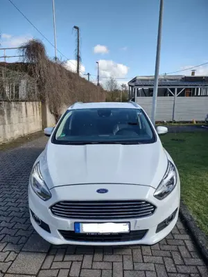 Ford S-Max 2.0 EcoBlue Aut. Titanium