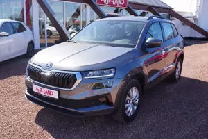 Skoda Karoq 1.5 TSI DSG LED Lenkradheizung Sitzheizung