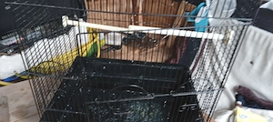 Biete an einen Vogelkäfig groß  Bild 6