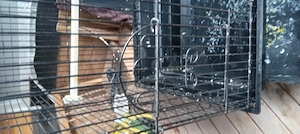 Biete an einen Vogelkäfig groß  Bild 3