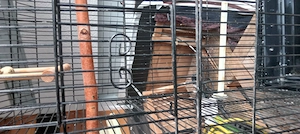 Biete an einen Vogelkäfig groß  Bild 5