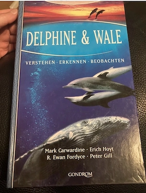 Delfine und Wale Buch 